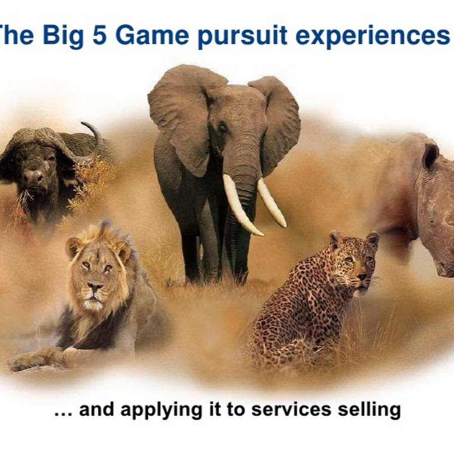 Большая африканская 5. Животные танзании большая пятерка. Крупные африканские животные. 5 крупных животных африки. Большая пятерка африки сафари.