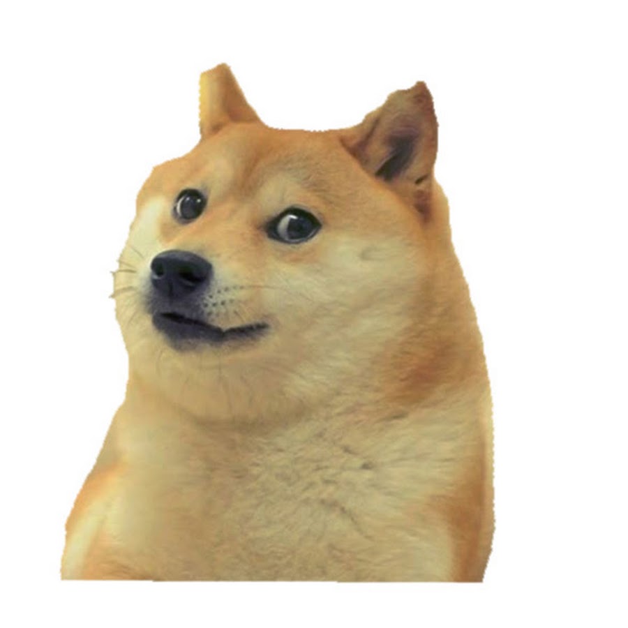 Щенок с рукой мем. Щенок с ладонью мем. Доге оригинал. О монетка мем с собакой. Wizard doge.