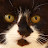 ChloeClik Photography Avatar