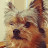 my gil