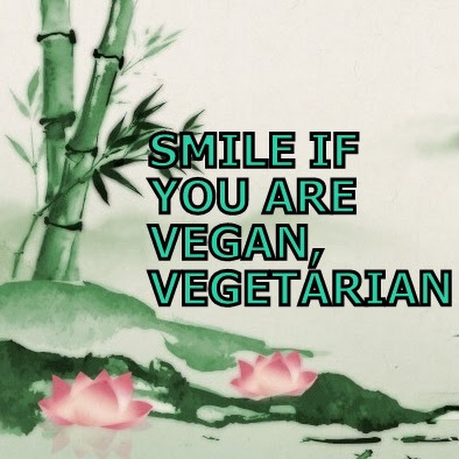 Veganheart Songs 純心 Youtube