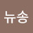 뉴송