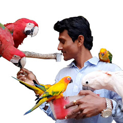 PARROT DIPANKAR thumbnail