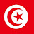 Tunisian ELFALIEN