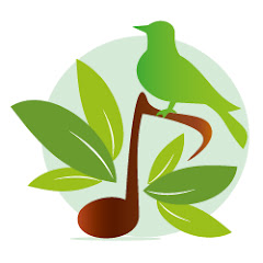 Thumbnail of related channel