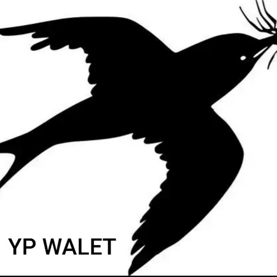 74 Gambar Burung Walet Kartun HD