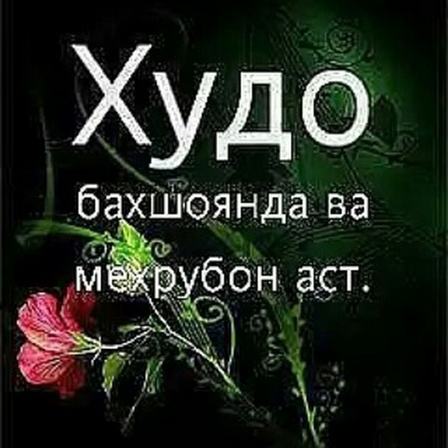 Хоби хуш картинки точики