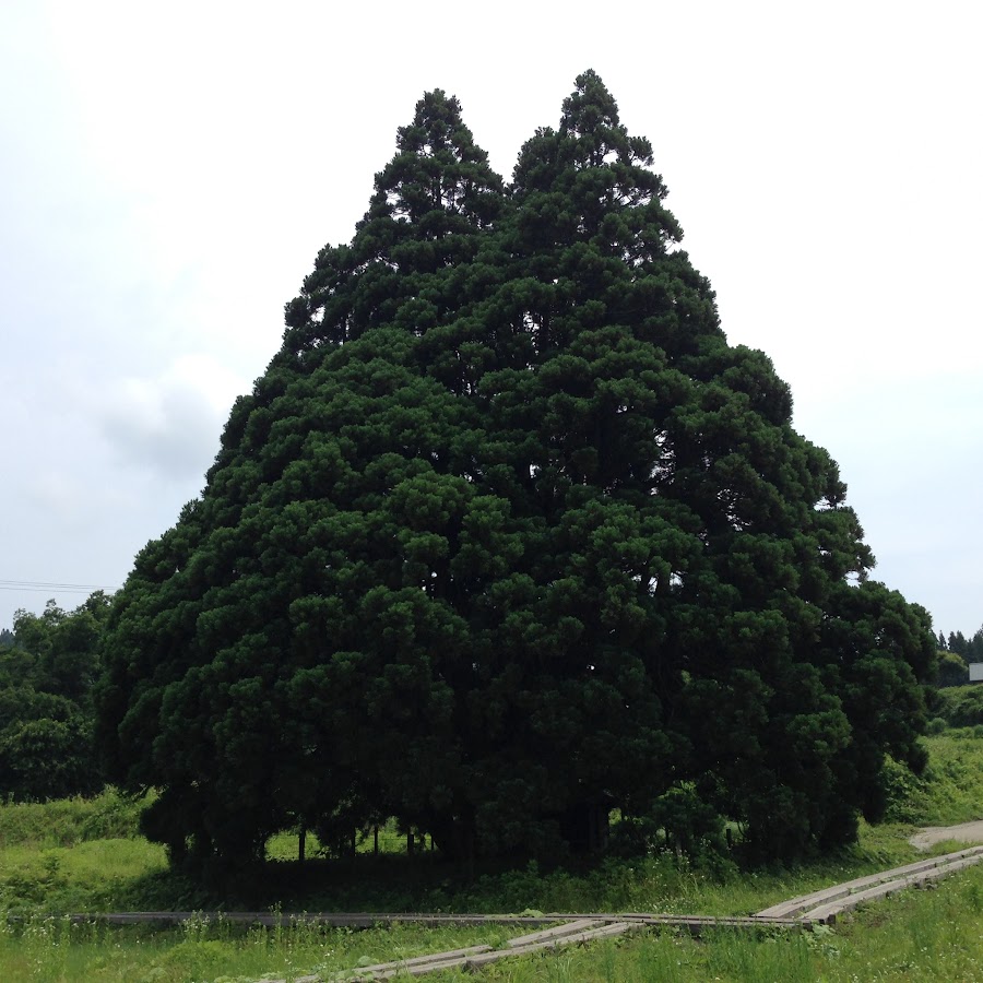 AKedOLQnyQ9FoS8KFvGjsny8JiV1aAi2580uNWMJlQqg=s900ckc0x00ffffffnorj