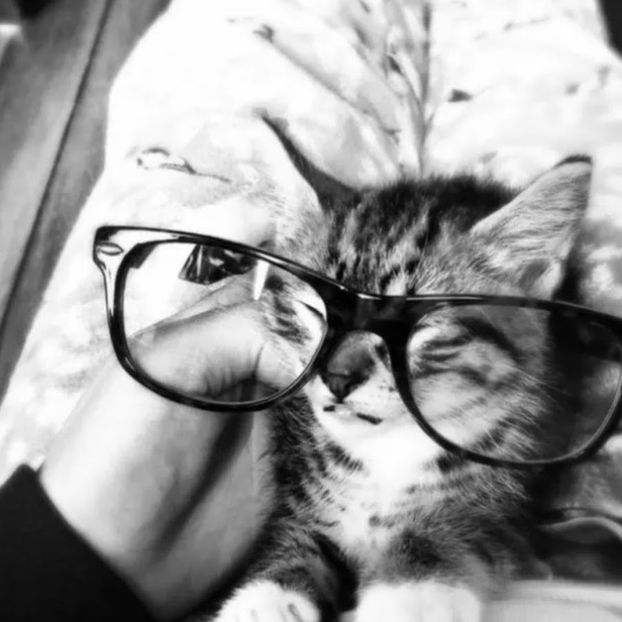 あはまなさたら Youtube