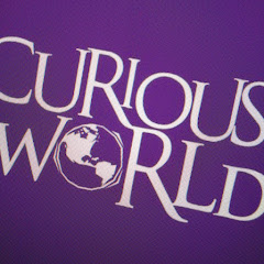 Curious World net worth