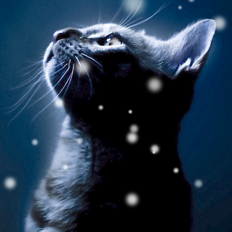 児玉尚幸 Youtube