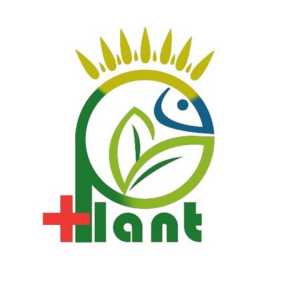 Plants plus