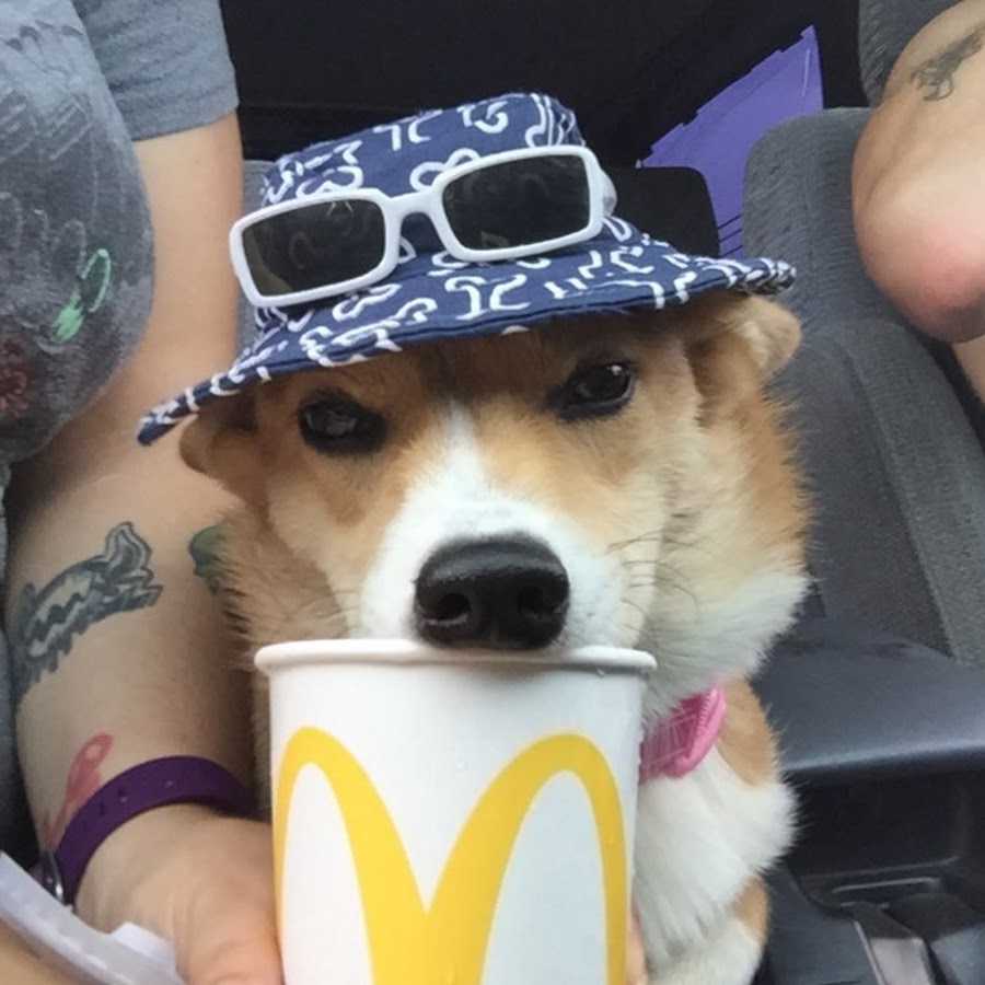 Manda Saurus Youtube