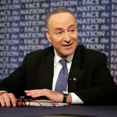Senator Chuck Schumer Avatar