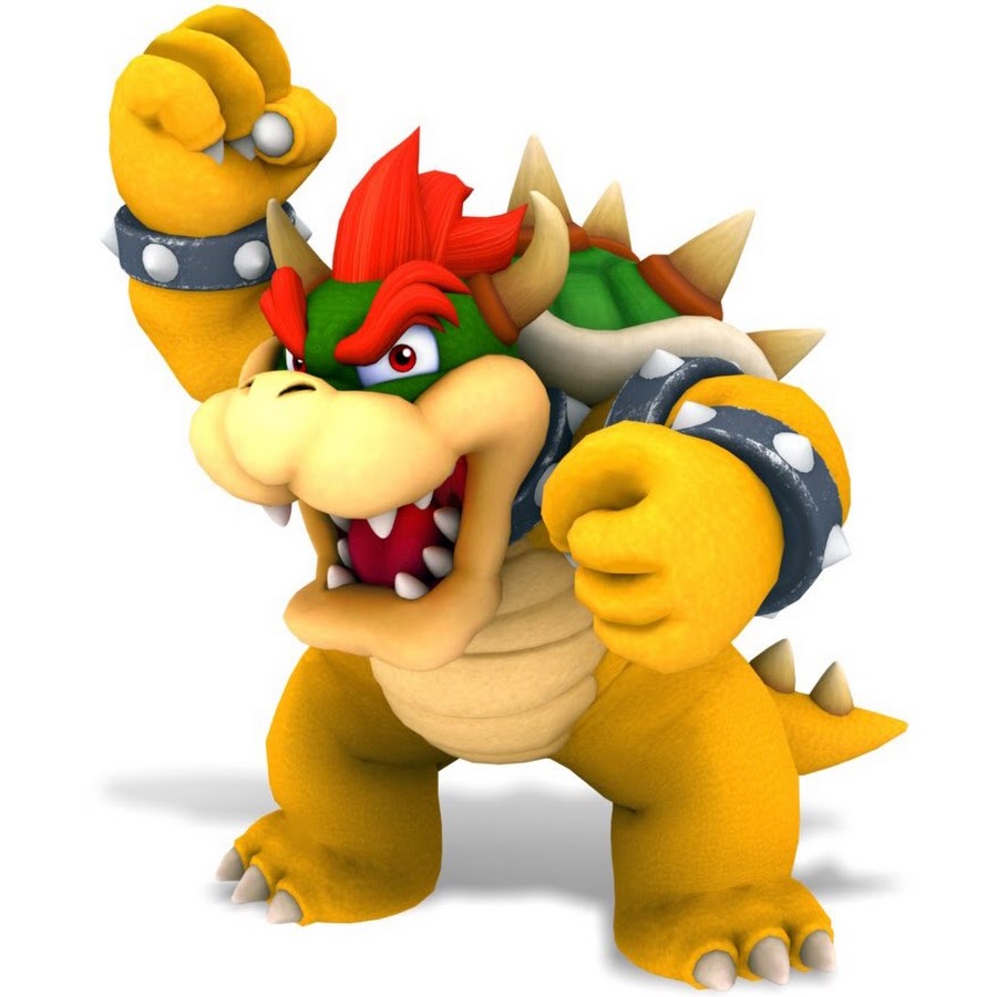 Hello My Name Is Bowser, And I Am Your Worst Fan Of Mario. 