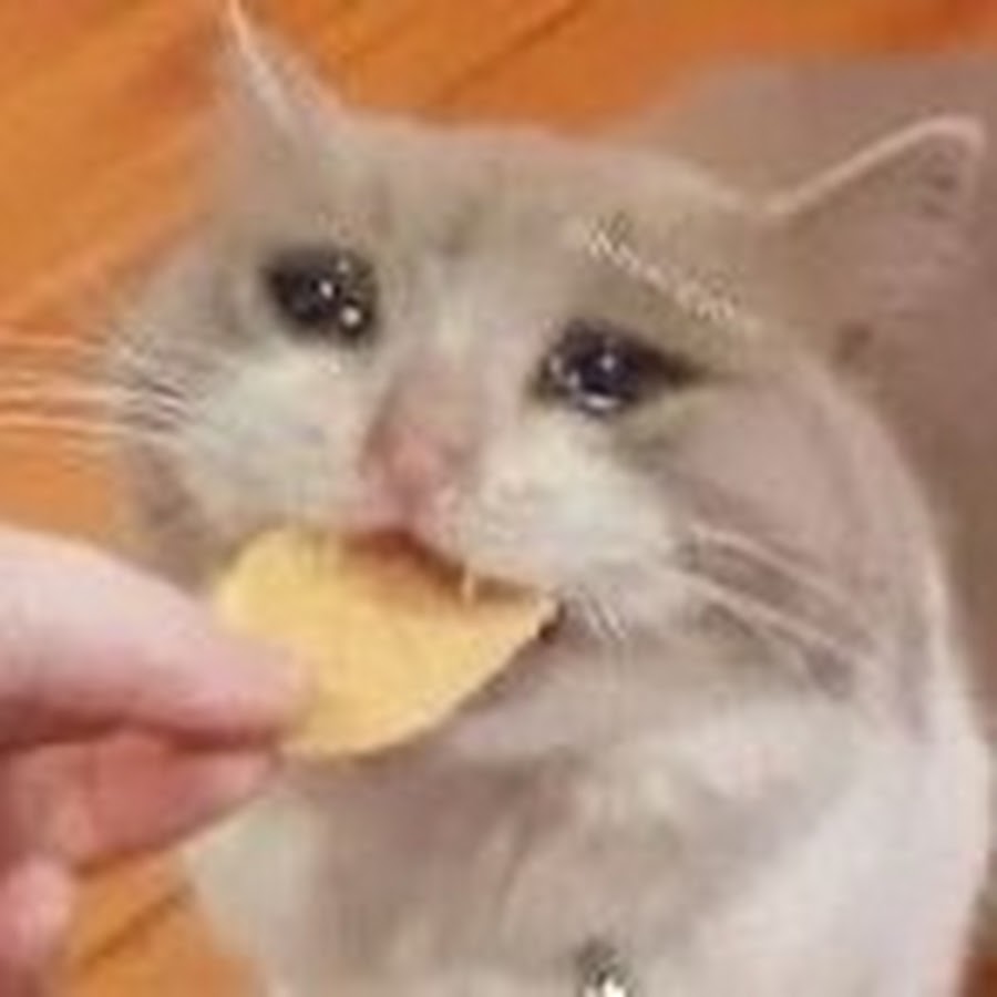 кучисабиши мем. кот пельмень. в японии есть термин кучисабиши. японское слово когда рту одиноко. кучисабиши на японском.