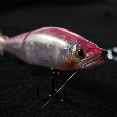 ダヴィンチ240 長谷川ピンク登場 Davinci 240 Hasegawa Pink Release Youtube