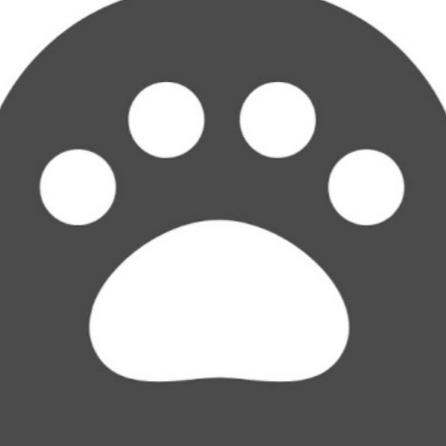 沖縄エアコンクリーニングネコの手 Youtube