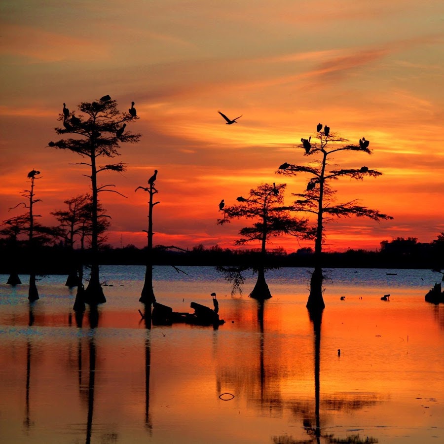 Город пейдж аризона. Пейдж город сша аризона. Page город в аризоне. Arizona аватарка. Озеро пауэлл аризона.