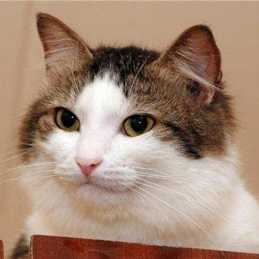 Hey, you--looking mighty fresh. 