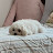 박지훈