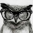 watson Gu Avatar