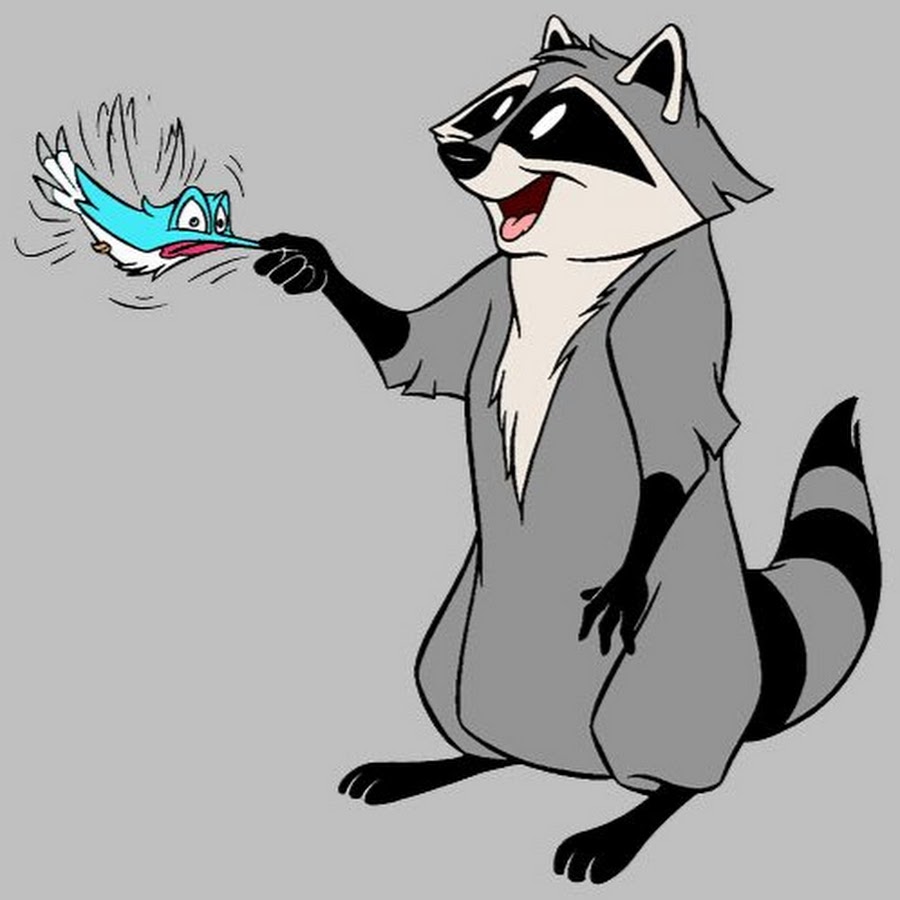 Енотики мультфильм картинки