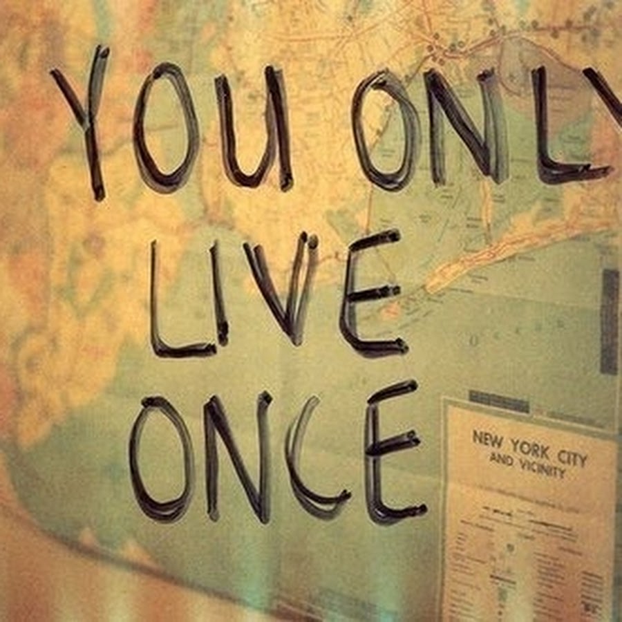 You only Live once. You only Live once перевод. Live once 1