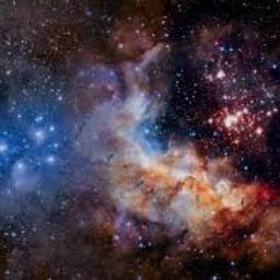 [最も選択された] ホワイト キュレム 270616-ホワイト キュレム 育成論 oras