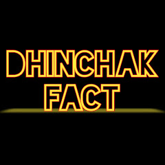 Dhinchak Fact Avatar