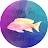 Catch This Fishkeeper Avatar