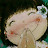 웃음꽃