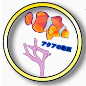 ダイソーの100円バクテリアは生物濾過してくれるのか検証してみた結果に驚いた Youtube