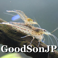 GoodSonJP