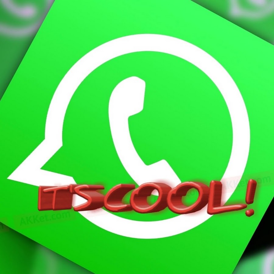 вотсап смешно. приколы для группы в ватсапе. приколы для ватсап. шутки для ватсапа. смешные обезьяны на рабочий стол.