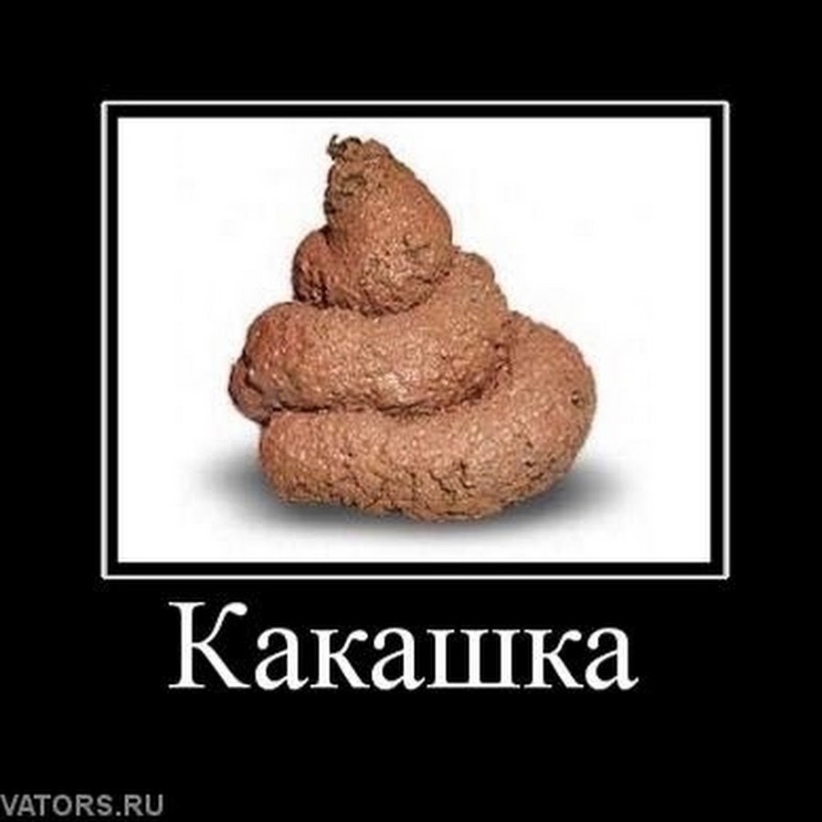 Сашка какашка картинки
