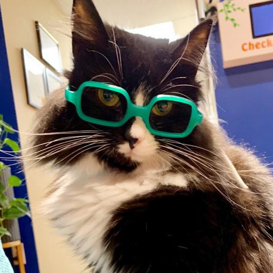 AKedOLQtMOxYufMs7ywdz_johkNKW9AHSpx33TXOp_u=s900ckc0x00ffffffnorj