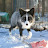 Let it snow