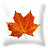 Mr K Avatar
