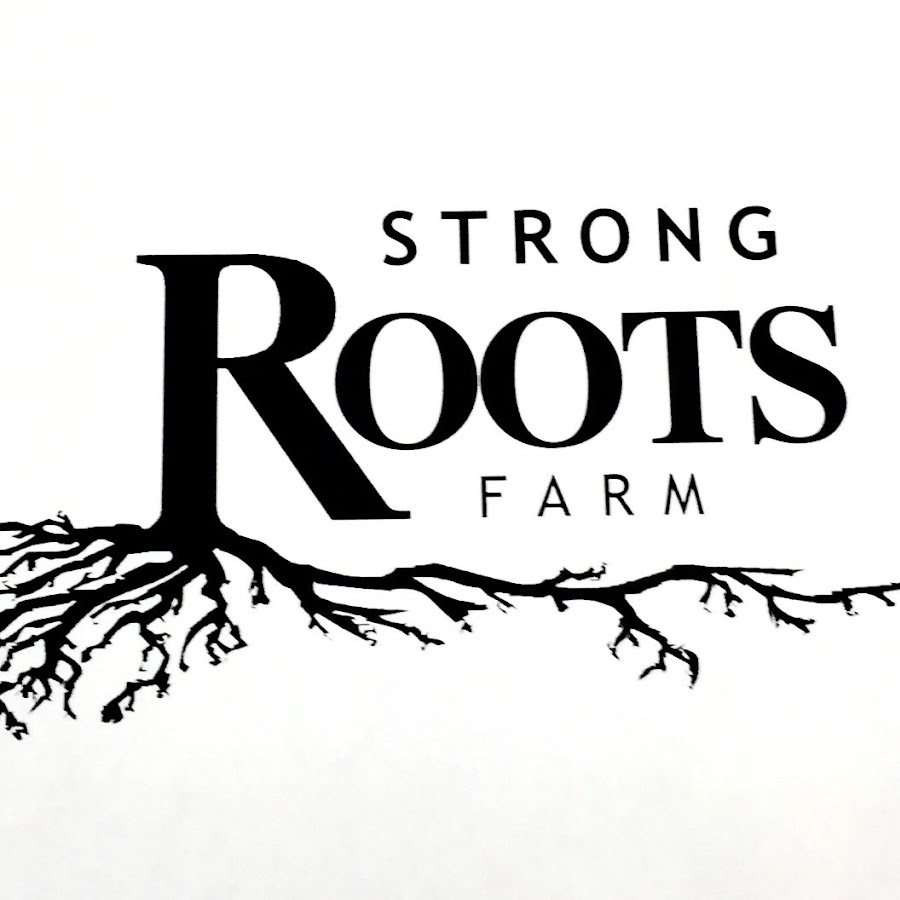 Стронг рут. Strong root. Roots Farm. True roots