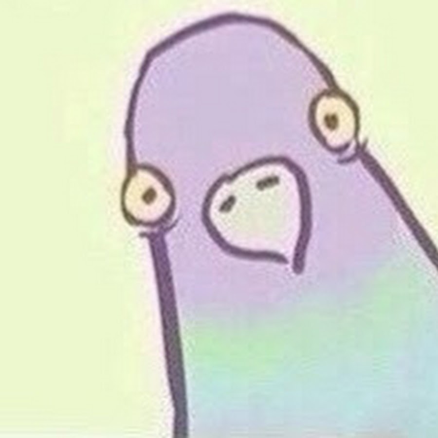 Картинка голубь жрешь