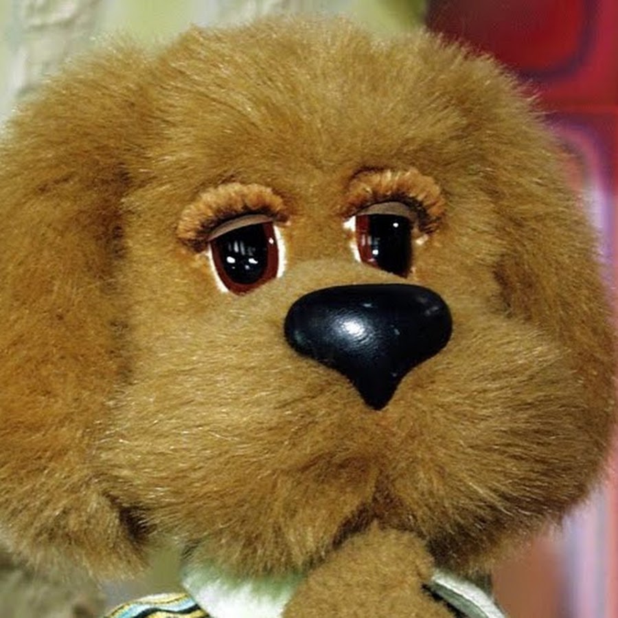 Филя из спокойной ночи малыши. Где филя. Филя и степашка. Филя из спокойной ночи малыши. Где филя.