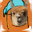 알파카보틀Alpaca bottle