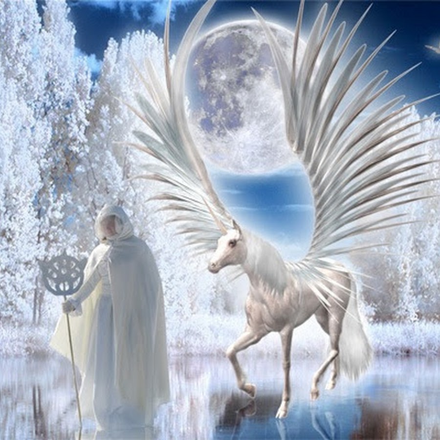 Follow winter. идеи для фото зимой в полный рост. парень в горах. Follow winter. фото в зимнем лесу идеи.