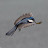 john gunning Avatar