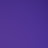 스물다섯번째밤