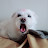 이밍밍