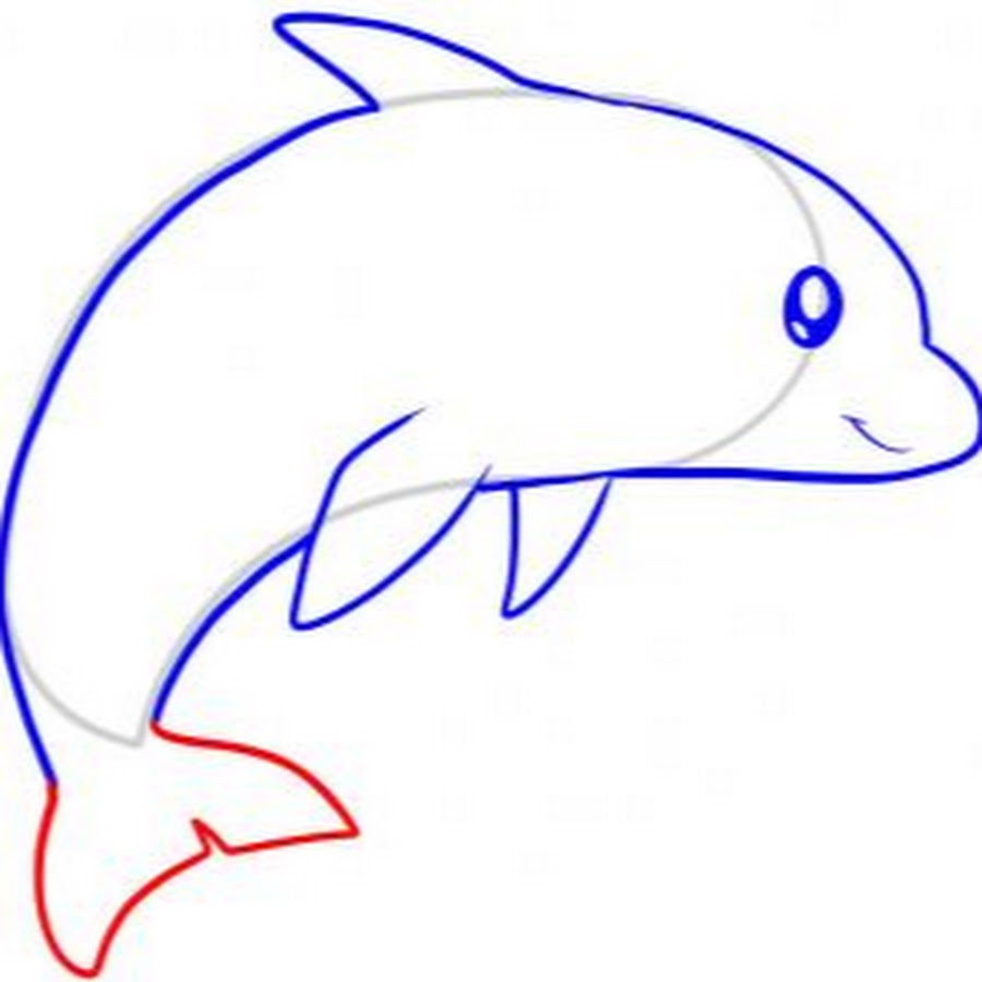 Рисунки на свободную тему легкие 6 класс. Рисунок дельфина. Рисунок на свободную тему легкий. Рисунки легко. Дельфин карандашом.