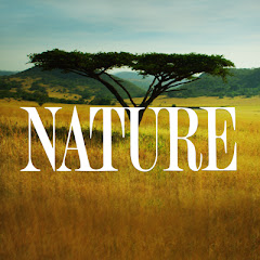 Nature on PBS Avatar