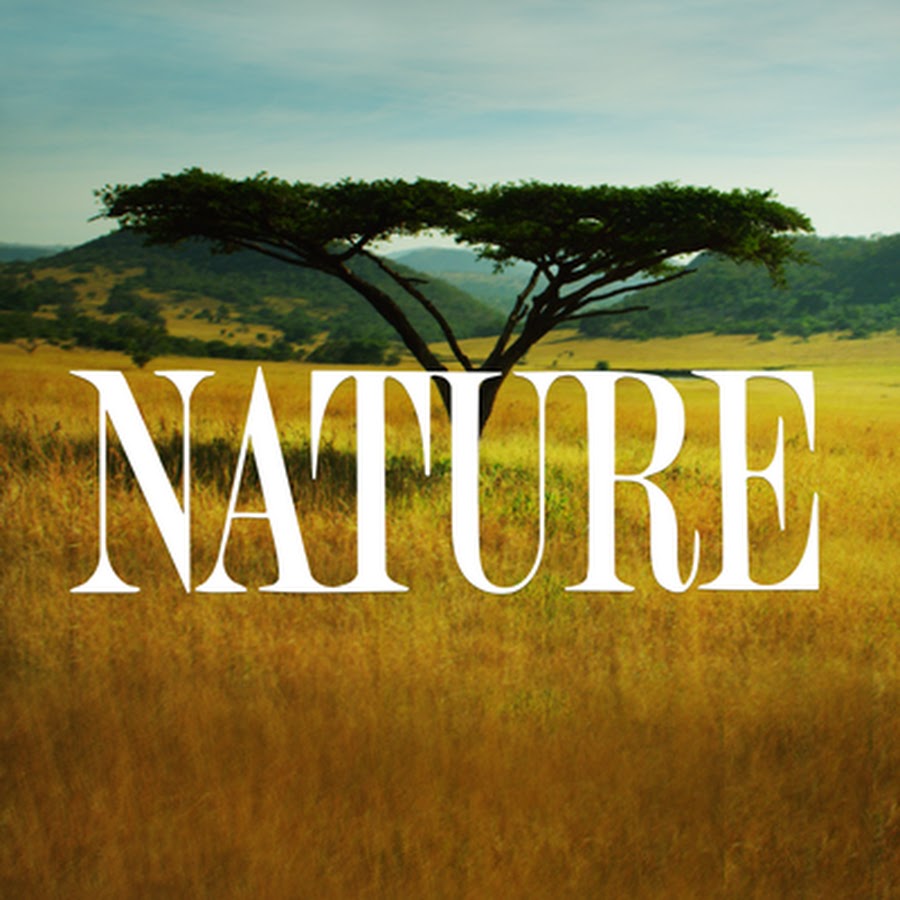 Begå underslæb Har lært service Nature on PBS - YouTube